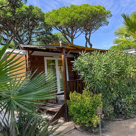 Camping Sas Robrecht Saint-Tropez