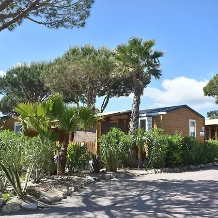 Sas Robrecht Kamp alanı *