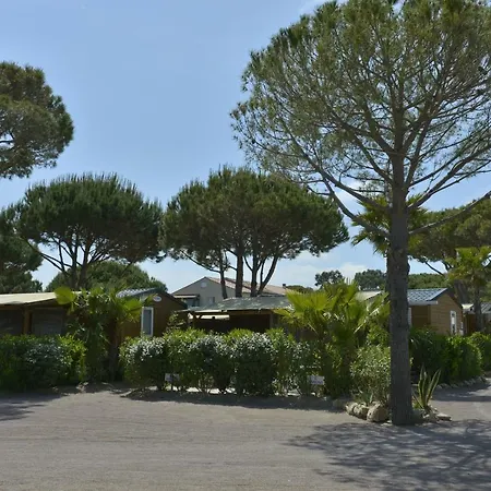 Camping Sas Robrecht Saint-Tropez