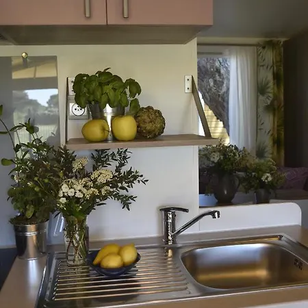 Sas Robrecht * 쎙뜨호뻬