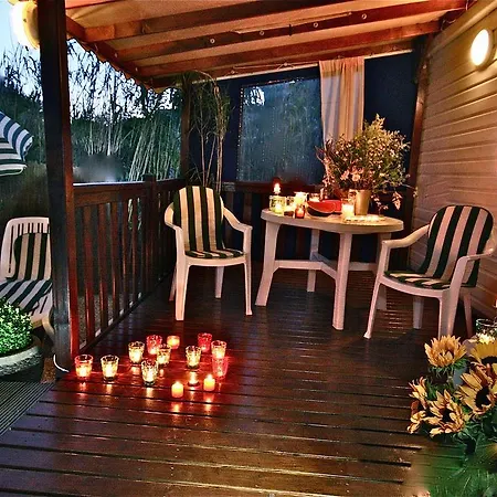 Sas Robrecht * 쎙뜨호뻬