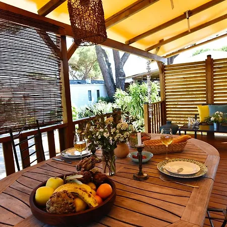 Sas Robrecht * 쎙뜨호뻬